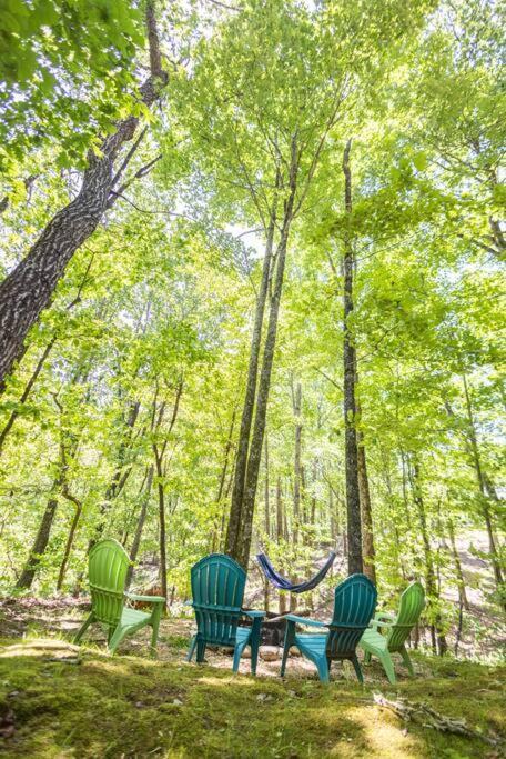 Pet Friendly Luxury Cabin Near Helen With Fire Pit 클리블랜드 외부 사진