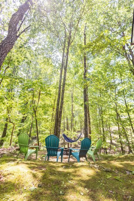 Pet Friendly Luxury Cabin Near Helen With Fire Pit 클리블랜드 외부 사진
