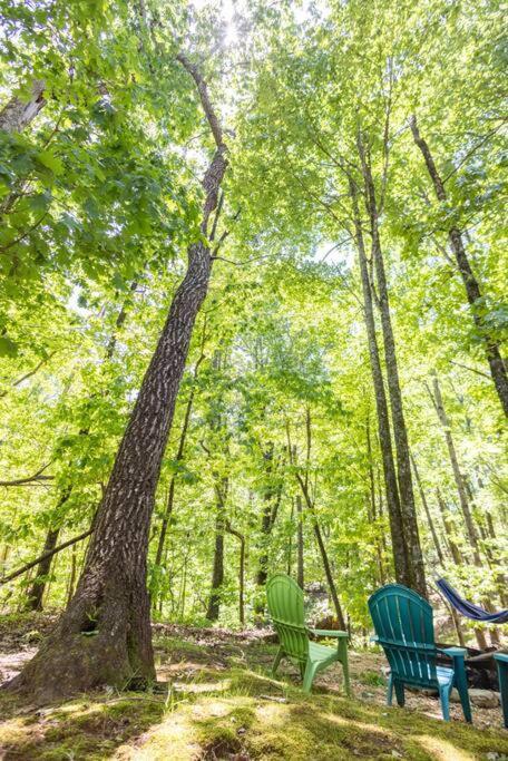 Pet Friendly Luxury Cabin Near Helen With Fire Pit 클리블랜드 외부 사진