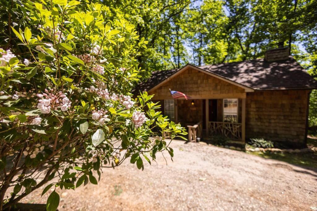 Pet Friendly Luxury Cabin Near Helen With Fire Pit 클리블랜드 외부 사진